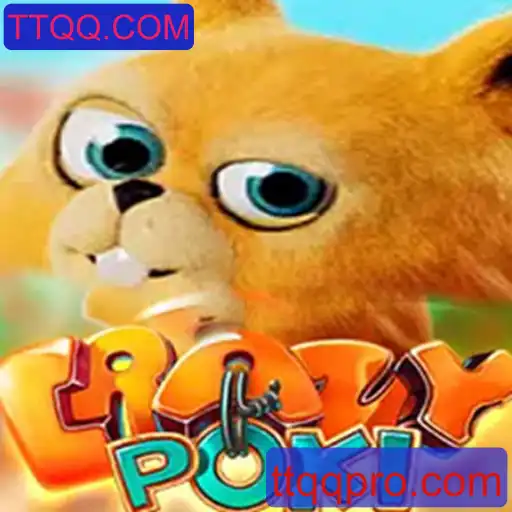 Explorando o Dinâmico Mundo de CrazyPoki