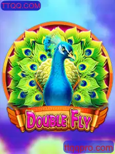 Descubra o Mundo de DoubleFly: Regras, Estratégias e Introdução ao Jogo